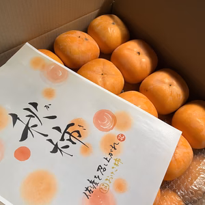 【訳ありお得】甘くて濃い「おけさ柿」2L以上、柿好きな人にこそ届けたい一品