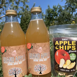 青森県産サンふじ100%無添加ジュース1リットル2本➕乾燥りんご35g