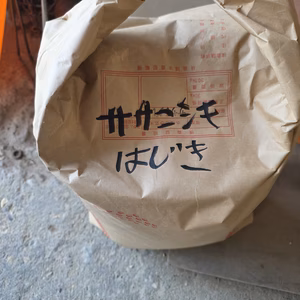 【紅大海様専用】自然栽培７年産山形県産 庄内米 ササニシキ種籾４kg