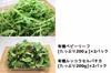 濃厚！有機ベビーリーフ200g2パック＆有機ルッコラセルバチカ200ｇ2パック