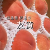 福島県産友黄（黄桃）2.6kg以上