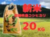 令和5年産　宮崎県産コシヒカリ 20kg 無洗米