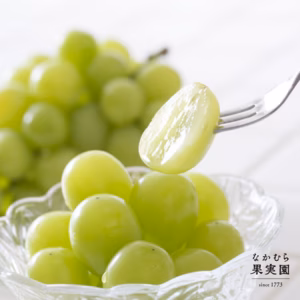 【送料無料】【9月中旬〜】パリッじゅわ～！やみつき食感「シャインマスカット」