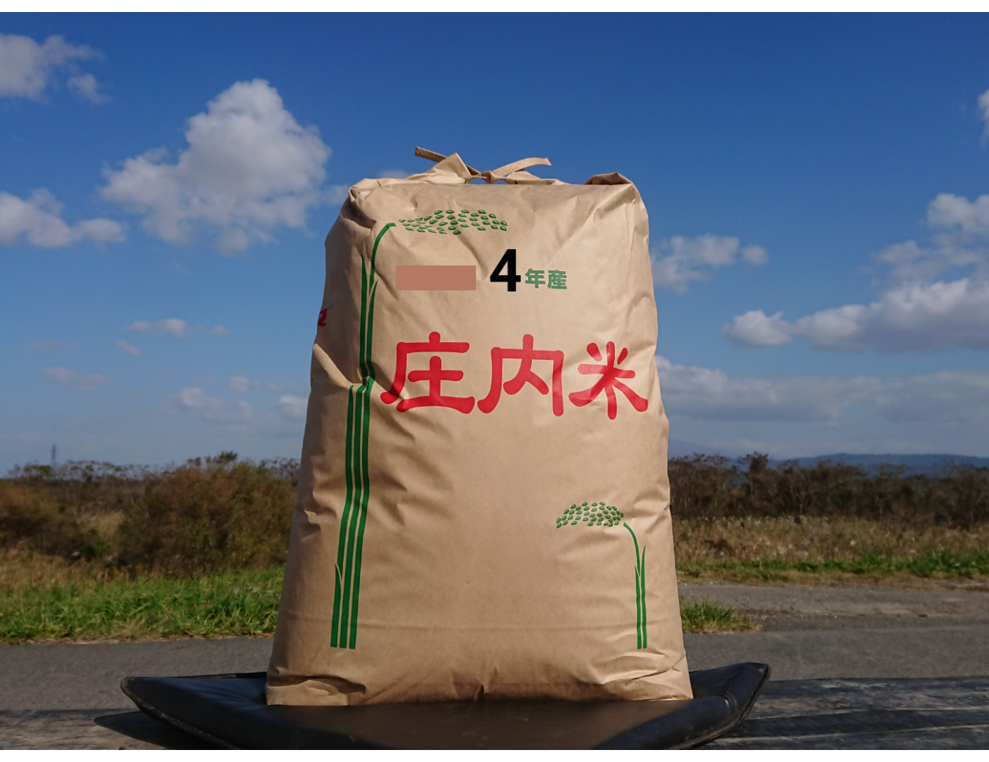 自然栽培 無農薬 氷温熟成 つや姫 令和3年産 山形県産 