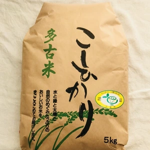 【幻の米】多古米コシヒカリ(特別栽培米)精米5kg 平成30年産