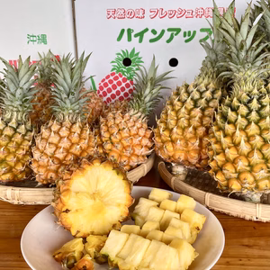 夏の時期だから甘みが増す！沖縄産スナックパイン7㎏(10～12玉)7月中旬～発送