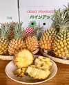 夏の時期だから甘みが増す！沖縄産スナックパイン7㎏(10～12玉)7月中旬～発送