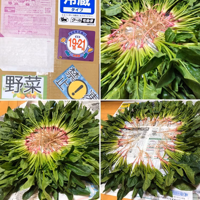 みんなの投稿の画像