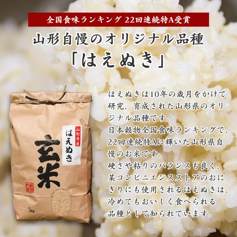 送料無料】令和5年産 山形県産 はえぬき玄米 10kg（5kg×2袋）｜米