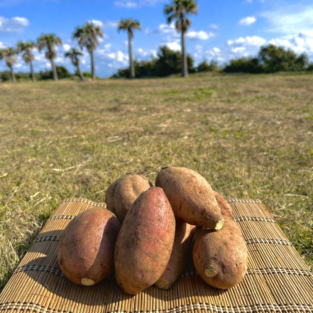 絶品】種子島産 安納芋 Mサイズ｜aimo農園｜さつまいもの商品詳細