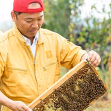 西岡千年