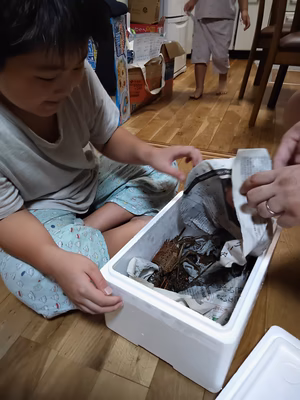 みんなの投稿の画像