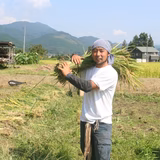 平野達也 | 株式会社ホールアース農場