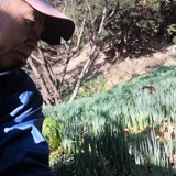 網代 隆 | 長十郎農園