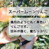 あなたはどっちが好き？スーパームーンりんご＆サンふじ・訳あり(小粒)