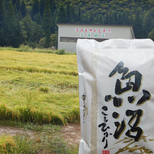 魚沼産コシヒカリ 白米５㎏ 検査一等米 新潟県魚沼市