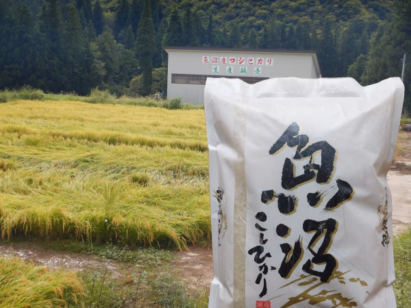 令和3年産「魚沼産コシヒカリ」 白米５㎏ 検査一等米 新潟県魚沼市