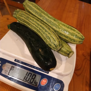 ◆北海道◆ズッキーニ５本
