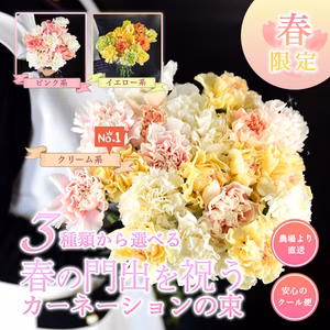 【お試しBOX】3種類から選べる！春を祝う大輪カーネーション10本束+おまけ付