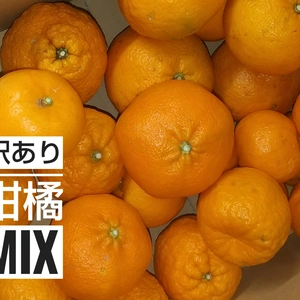 愛媛県産 訳あり柑橘MIX 5kg