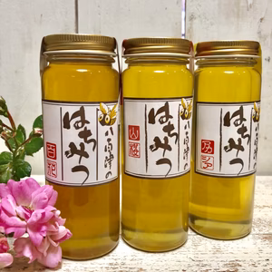 里山はちみつ味比べ(山桜・百花・アカシア)