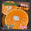 有田みかん『木成り甘熟』Ｌサイズ　4.5kg（箱込）