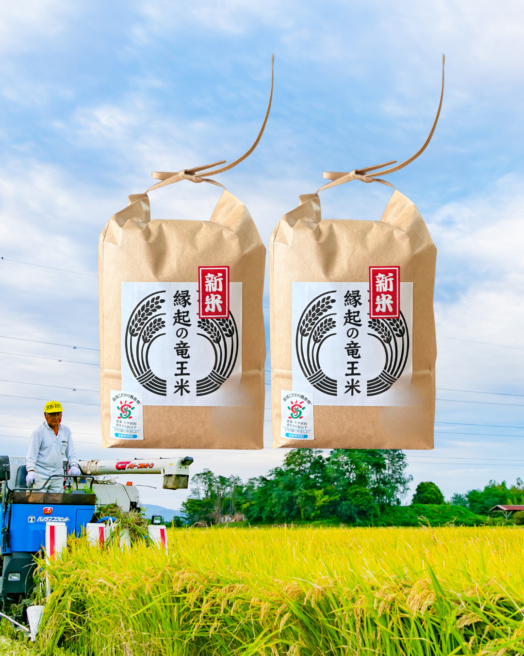 きぬむすめの産直通販・お取り寄せ商品｜ポケットマルシェ｜産地直送で