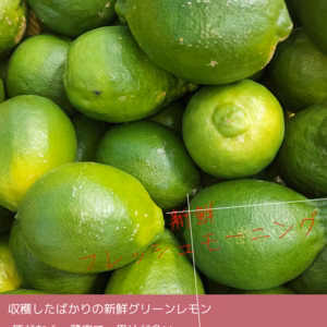 レモンが絶品　種がない！！　カンブリア宮殿紹介農家が作ったレモン