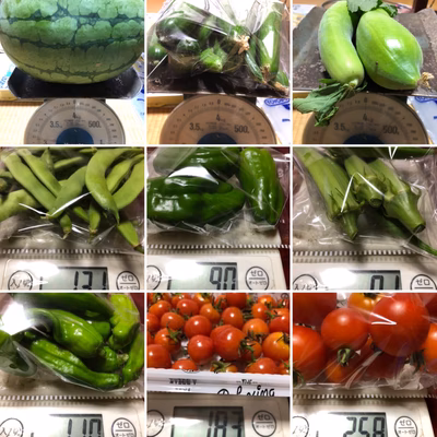 みんなの投稿の画像