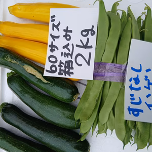 訳ありズッキニー＆インゲンのセット❣箱込み2ｋｇ