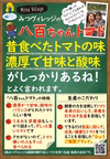 【ひょうご推奨ブランド】八百ちゃんトマト（中玉）