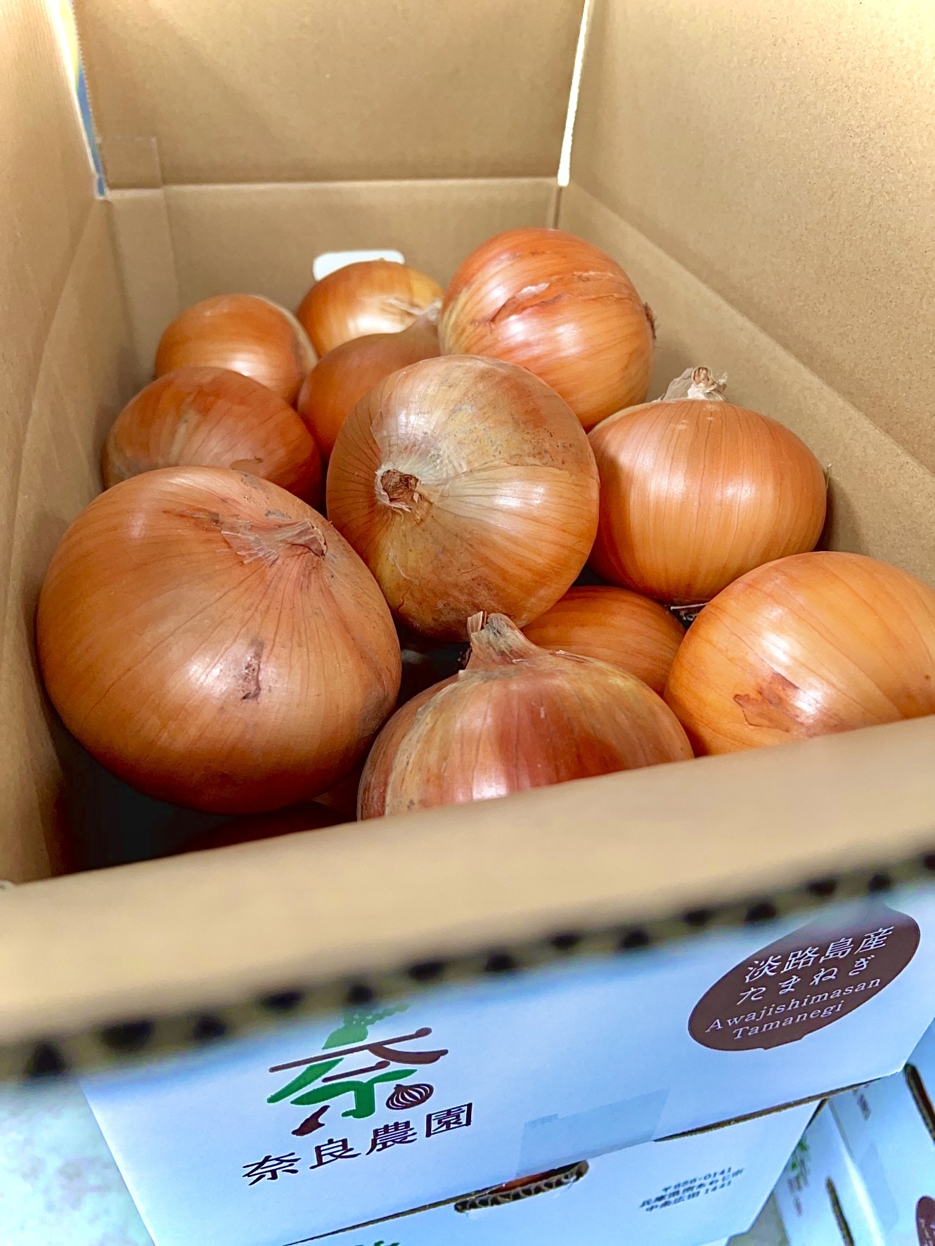 令和7年産 淡路島玉ねぎ 中生「ターザン」 サイズ色々 1箱(3kg)10個前後