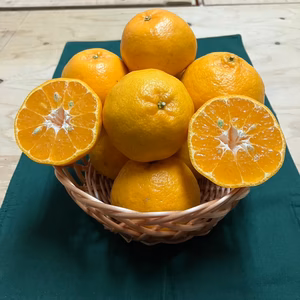 鹿児島県産　「わっぜうまかぁポンカン」箱込み5kg