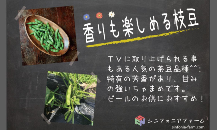 自然栽培 枝豆 茶豆 農薬 肥料不使用 茶大豆えだまめ 農家漁師から産地直送の通販 ポケットマルシェ