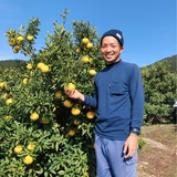 杉本大成 | 杉本峰果園