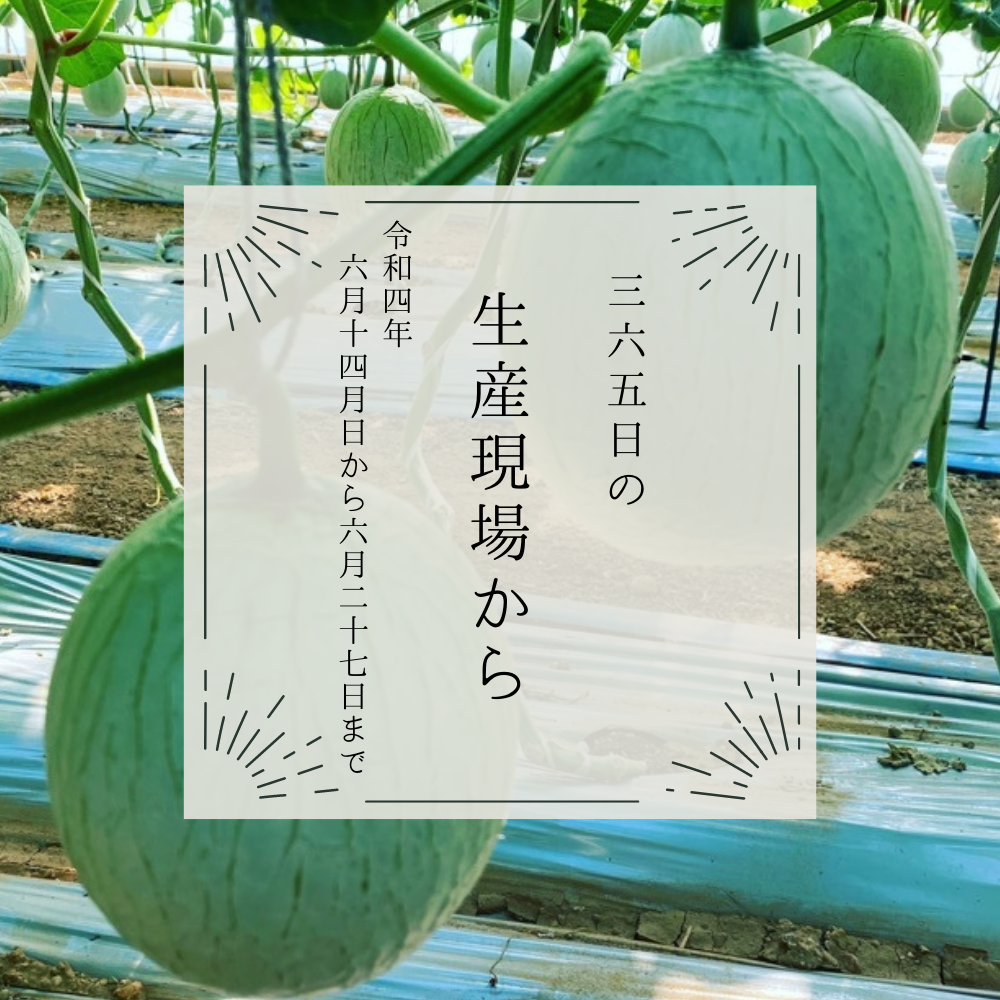 6月14〜27日の生産現場から、半夏生の39投稿！ | 農家漁師から産地直送