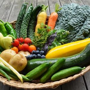【健託農場】吉備高原の旬野菜セット(お試しSサイズ) 無農薬、無化学肥料