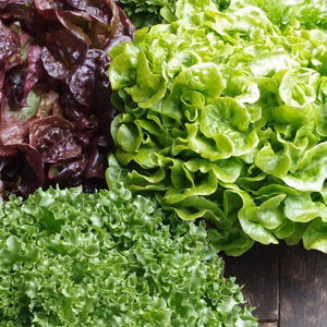 おまかせ野菜詰め合わせセット