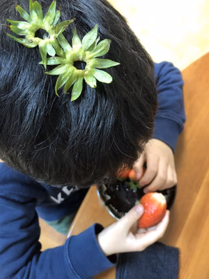 みんなの投稿の画像