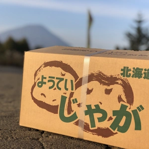 北海道産新じゃがいも　品種キタカムイ　10kg　込み玉M〜3Lサイズ以上