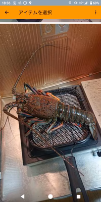 みんなの投稿の画像