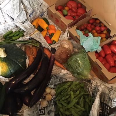 みんなの投稿の画像