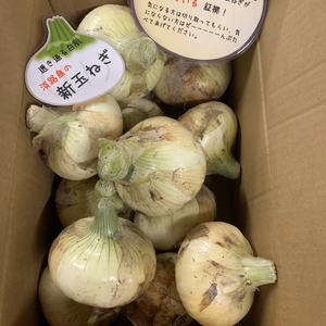 訳あり淡路島新玉ねぎ約5キロ！今だけネギ坊主オマケ付き‼️