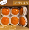 和歌山県特別品種【紀州てまり(柿)】ちょい小玉！サイズ混合 お試し 6玉入り