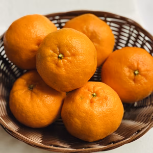 コクとジューシーなポンカン　Lサイズ