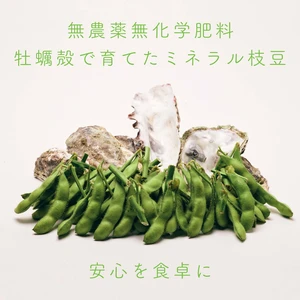 牡蠣殻ミネラル栽培枝豆！2kg(250g×8袋)