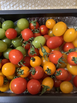 みんなの投稿の画像