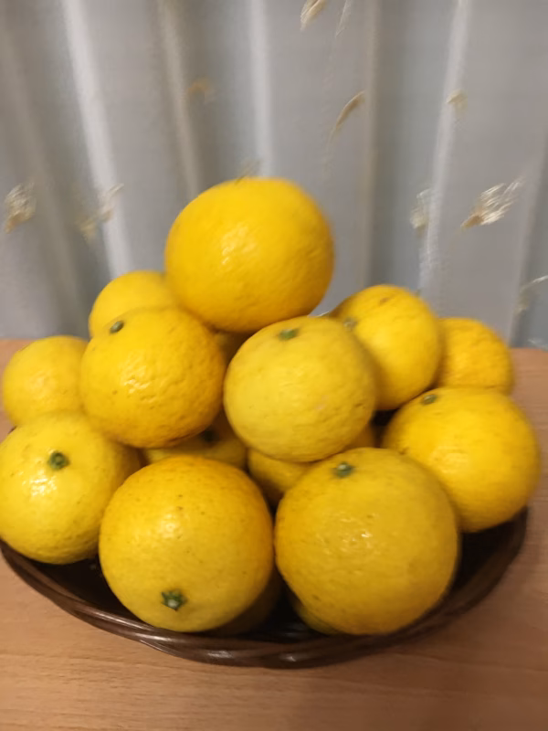 香橘(こうきつ) 