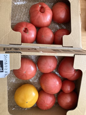 みんなの投稿の画像