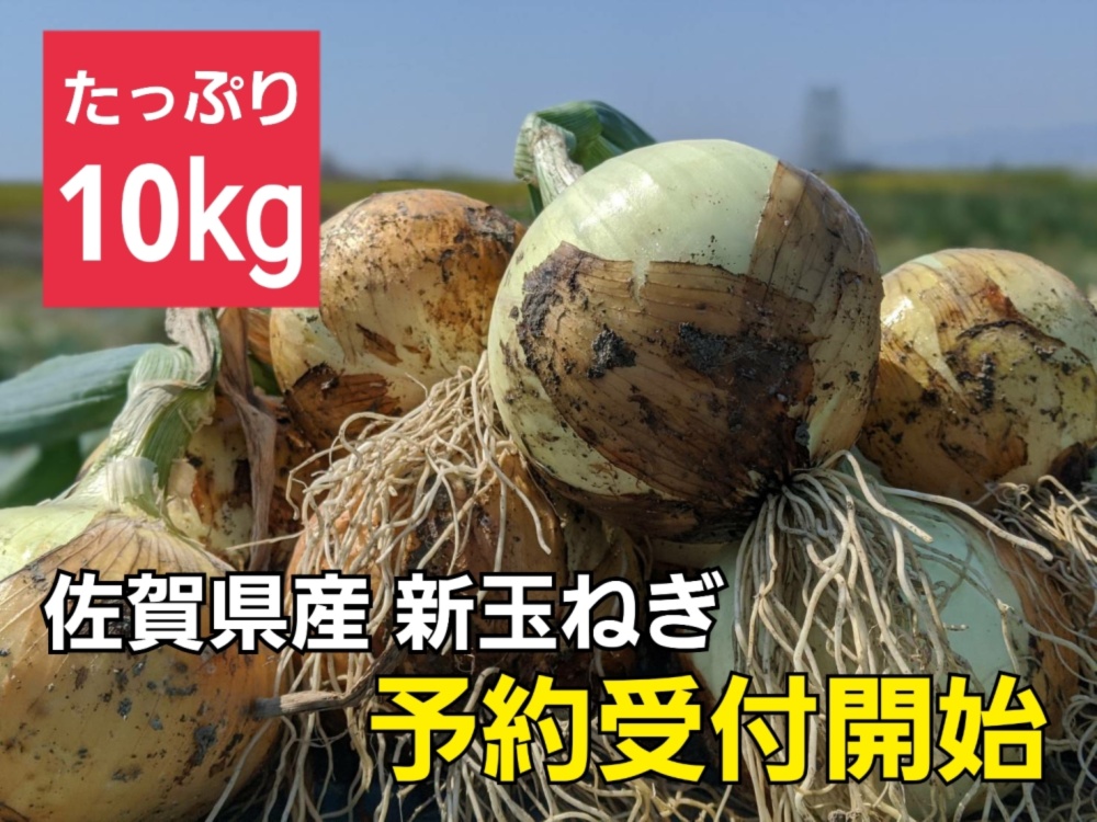 予約受付中 21年春 佐賀県産新玉ねぎ10kg 農家漁師から産地直送の通販 ポケットマルシェ